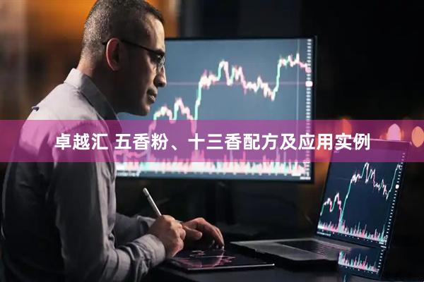 卓越汇 五香粉、十三香配方及应用实例