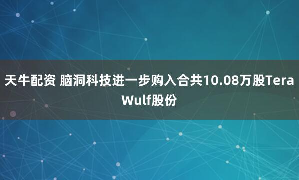 天牛配资 脑洞科技进一步购入合共10.08万股TeraWulf股份